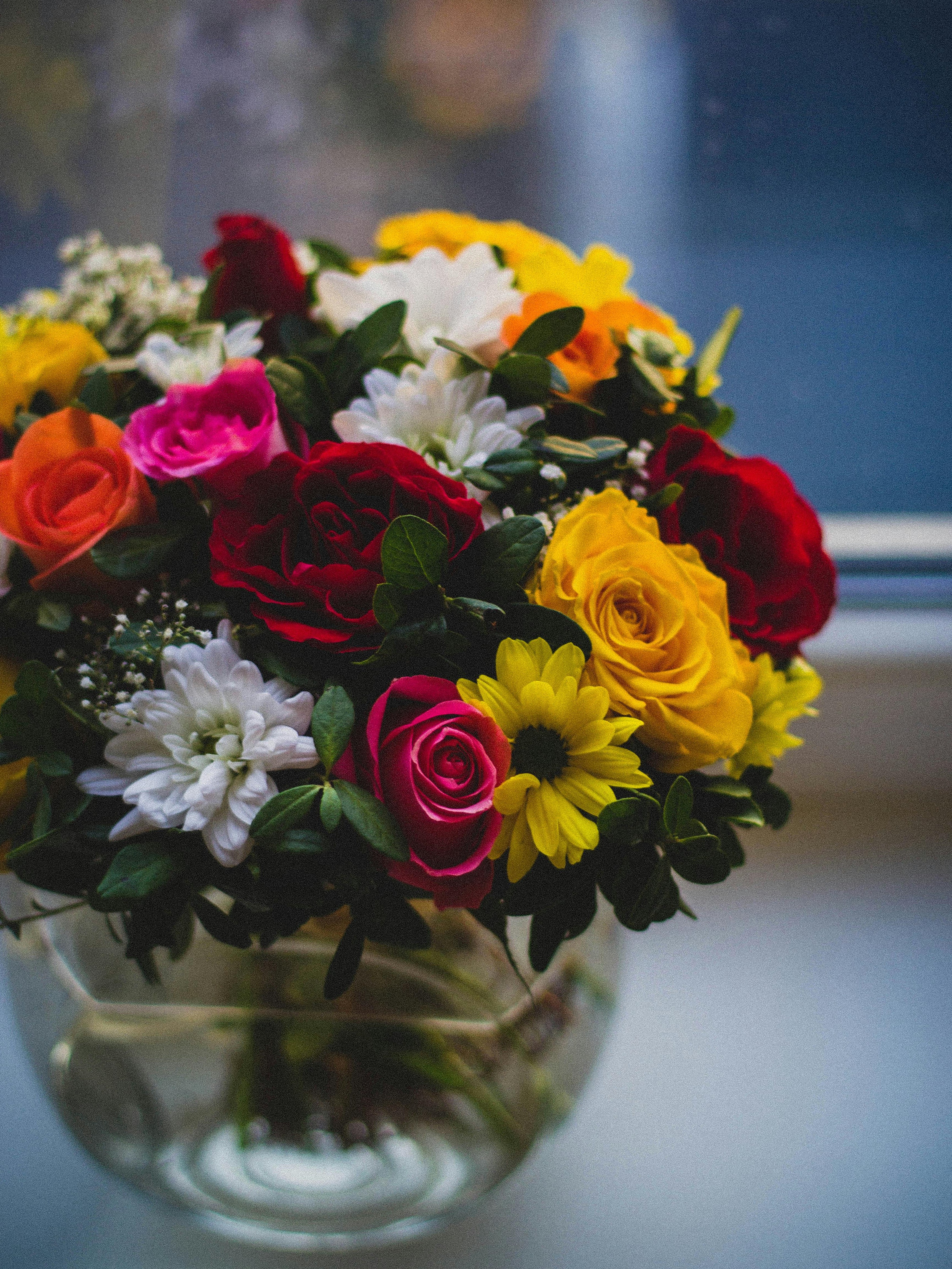 Flower Plants